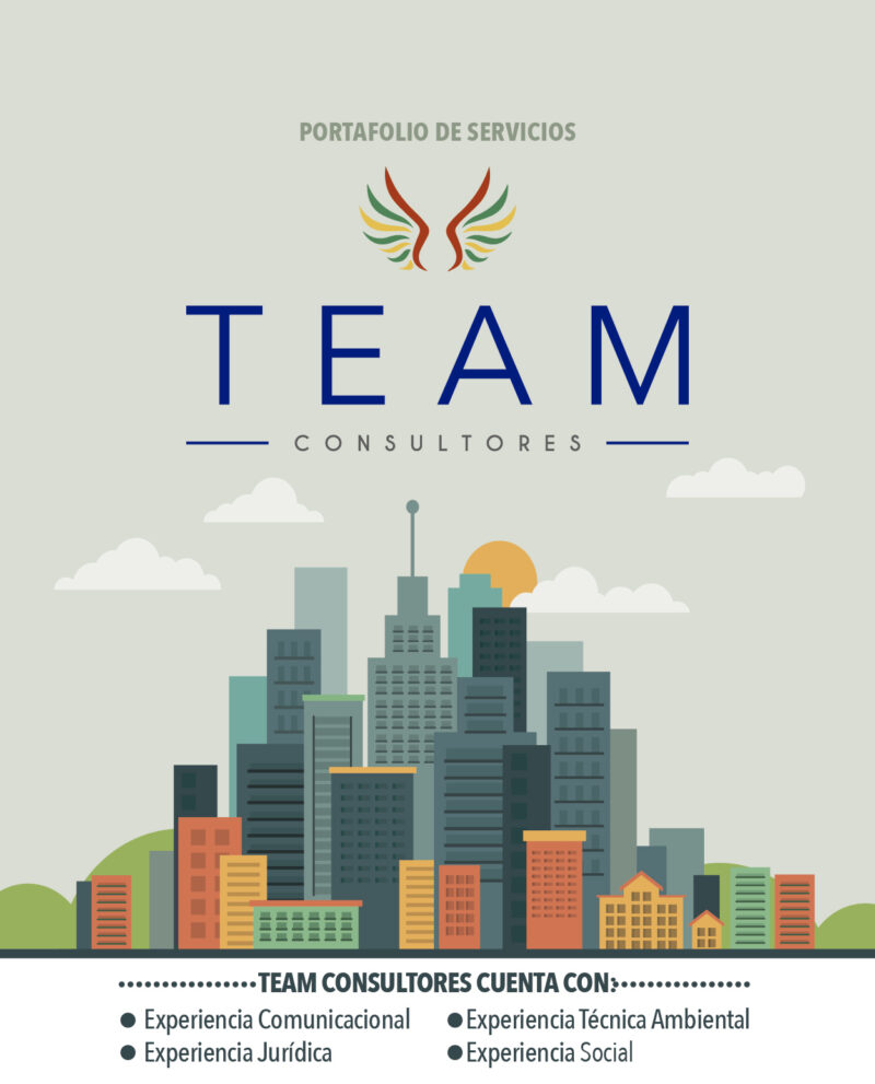 Portafolio TEAM